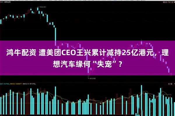 鸿牛配资 遭美团CEO王兴累计减持25亿港元，理想汽车缘何“失宠”？