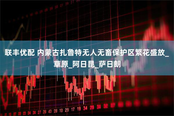 联丰优配 内蒙古扎鲁特无人无畜保护区繁花盛放_草原_阿日昆_萨日朗