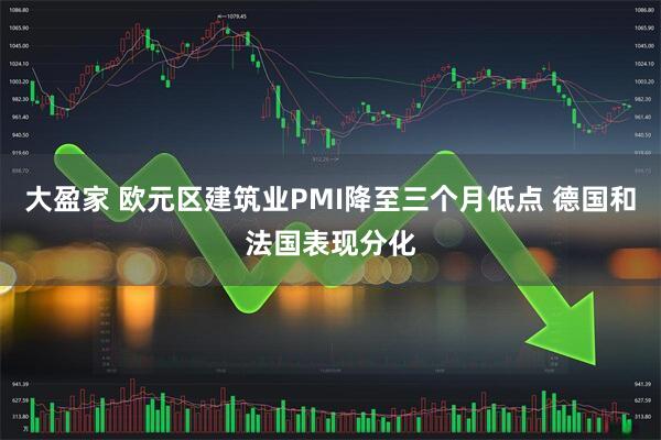 大盈家 欧元区建筑业PMI降至三个月低点 德国和法国表现分化