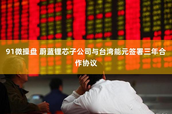 91微操盘 蔚蓝锂芯子公司与台湾能元签署三年合作协议