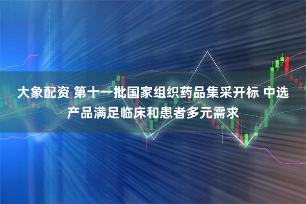 大象配资 第十一批国家组织药品集采开标 中选产品满足临床和患者多元需求